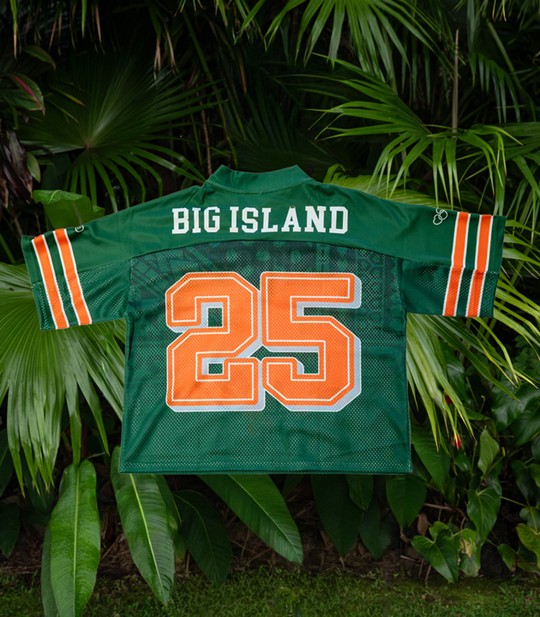Big Island Mesh Team Jersey