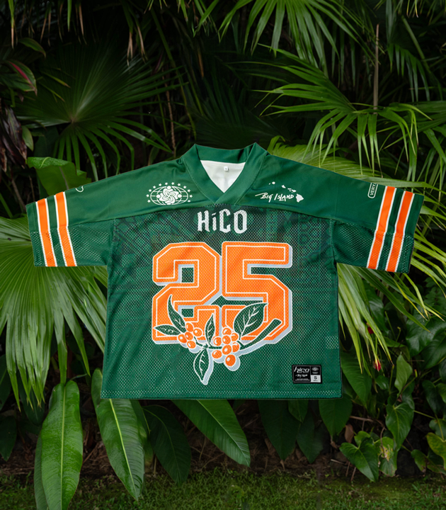 Big Island Mesh Team Jersey