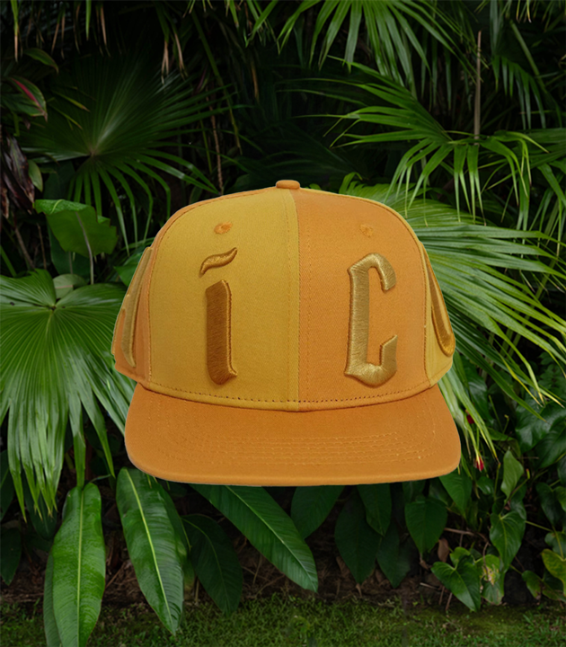 HiCO Golden Hour Snapback