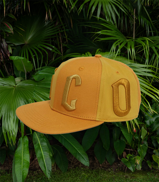 HiCO Golden Hour Snapback