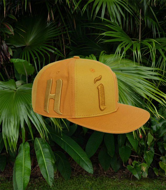 HiCO Golden Hour Snapback
